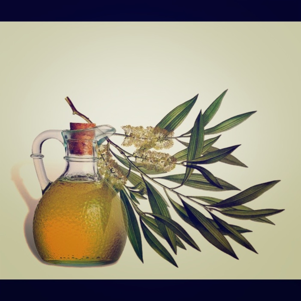 Tea Tree - SqueezeMeSugar 🌻