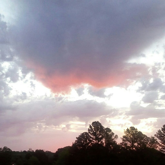 Meet your Posher, Kali - Picture 1 of 1