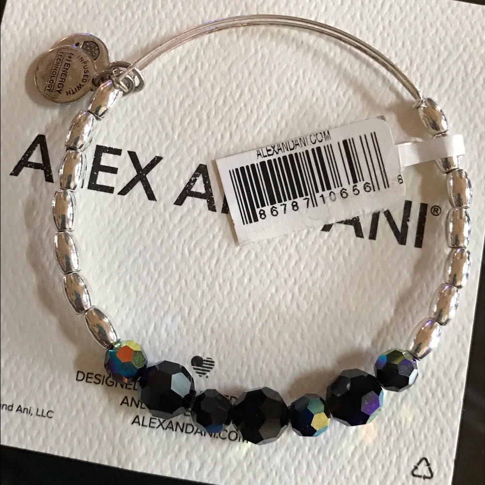NWT Alex and Ani Nordstrom Exclusive Jet & silver