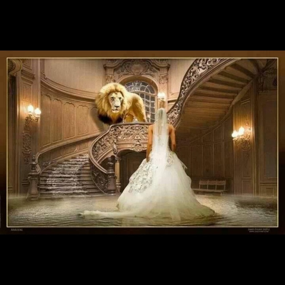 Meet your Posher, Danika