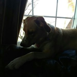 Meet your Posher, Jody