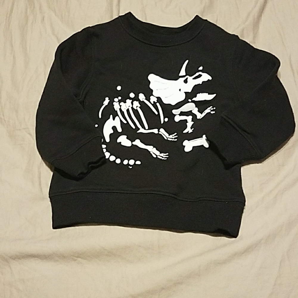 Fossil sweater