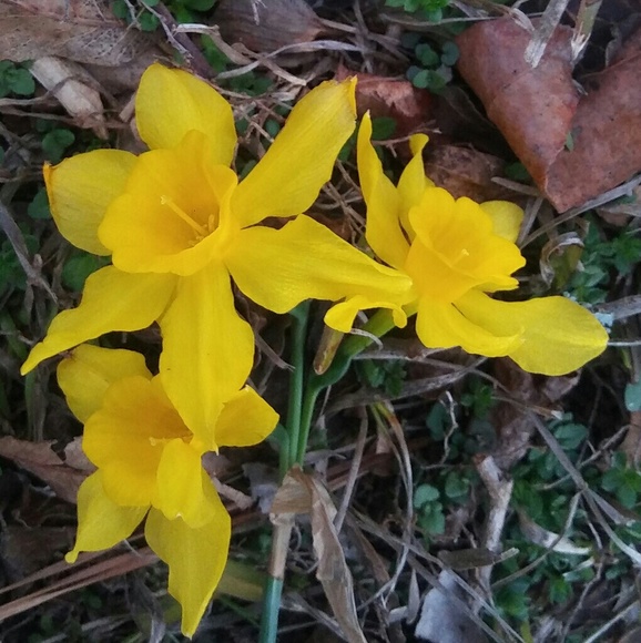 Meet your Posher, Uchechi - Picture 1 of 1