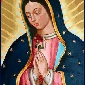 Meet your Posher, Areli