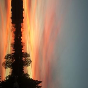 Meet your Posher, Jacqulynn