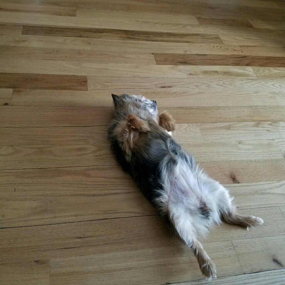 Meet your Posher, Leeleea