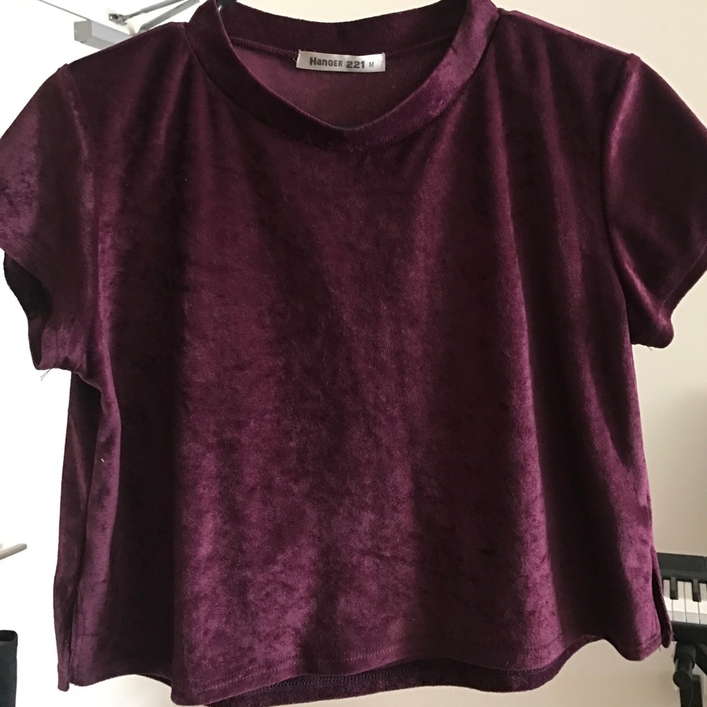 Velvet crop tee