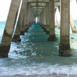 Meet your Posher, Nathaniel