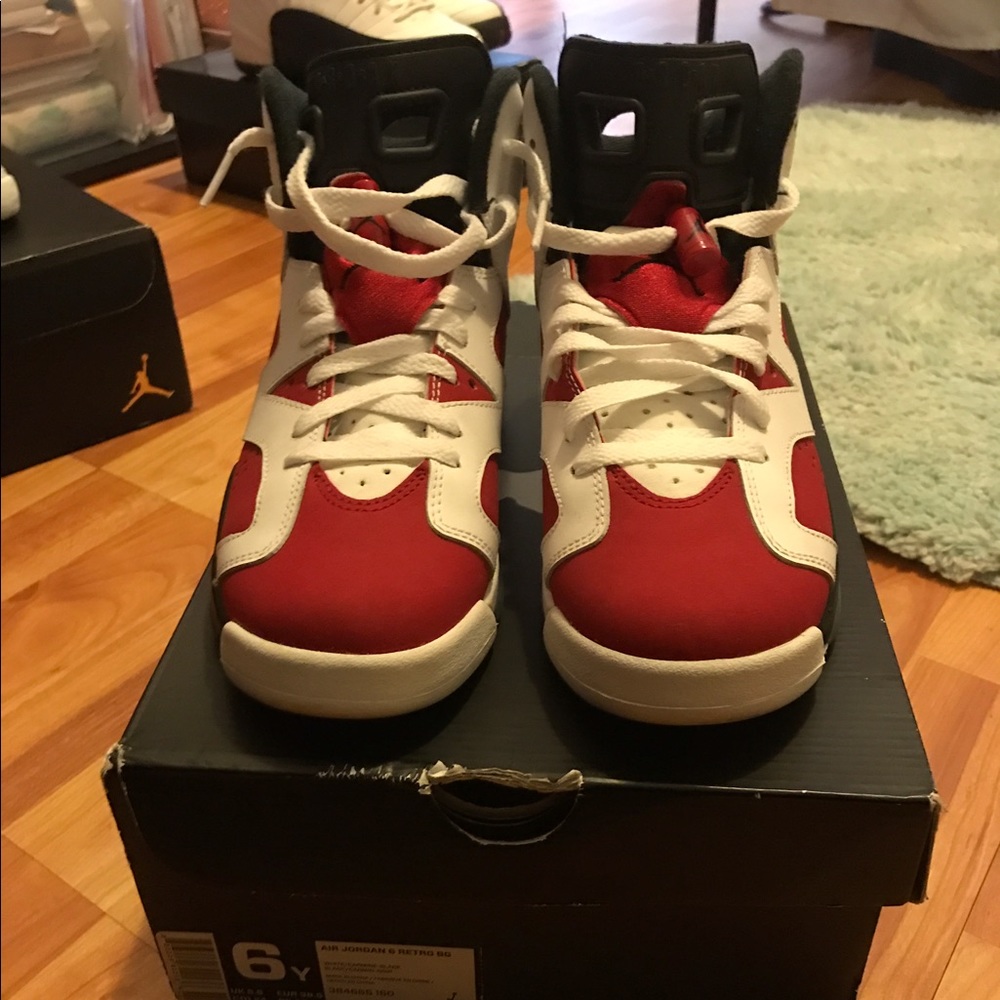 Jordan carmine 6s