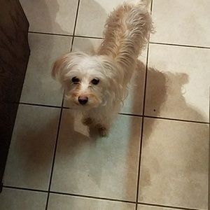 Meet your Posher, Sandy