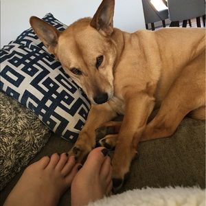 Meet your Posher, Jessica