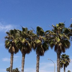 Meet your Posher, Elise