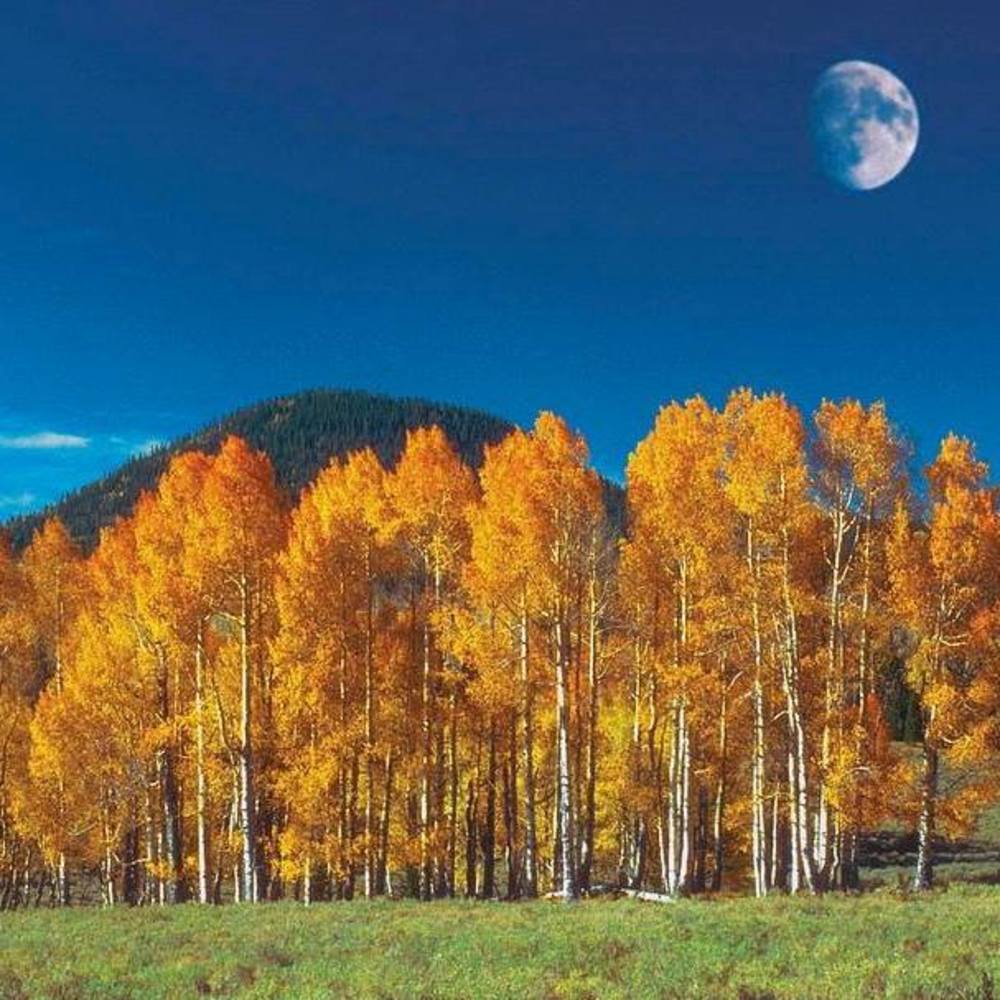 Meet your Posher, Kerrina