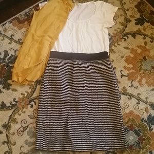 Ann Taylor Loft Skirt