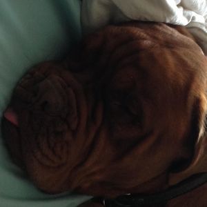 Meet your Posher, Lynn