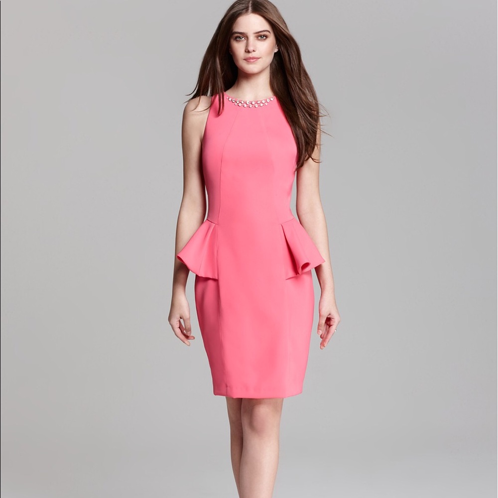 NWT Laundry by Shelli Segal dress