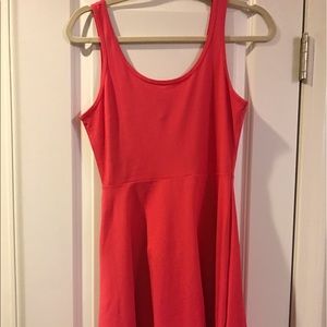 Brand New W/O Tags Express fit and flare Dress