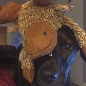 Meet your Posher, Kaley