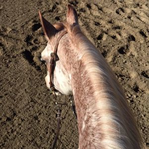 Meet your Posher, Christina