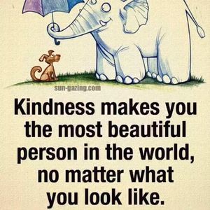 Meet your Posher, Robin