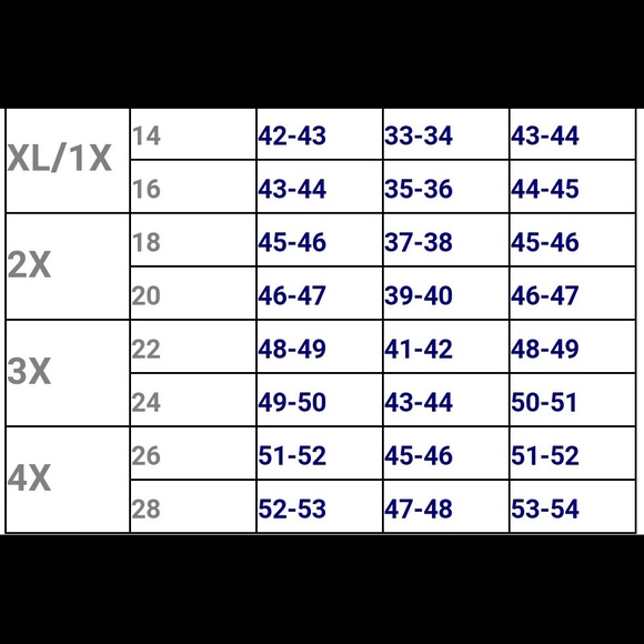 Blush Plus size VNeck long bell sleeve lace Romper - Picture 6 of 6