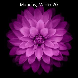 Meet your Posher, Michele