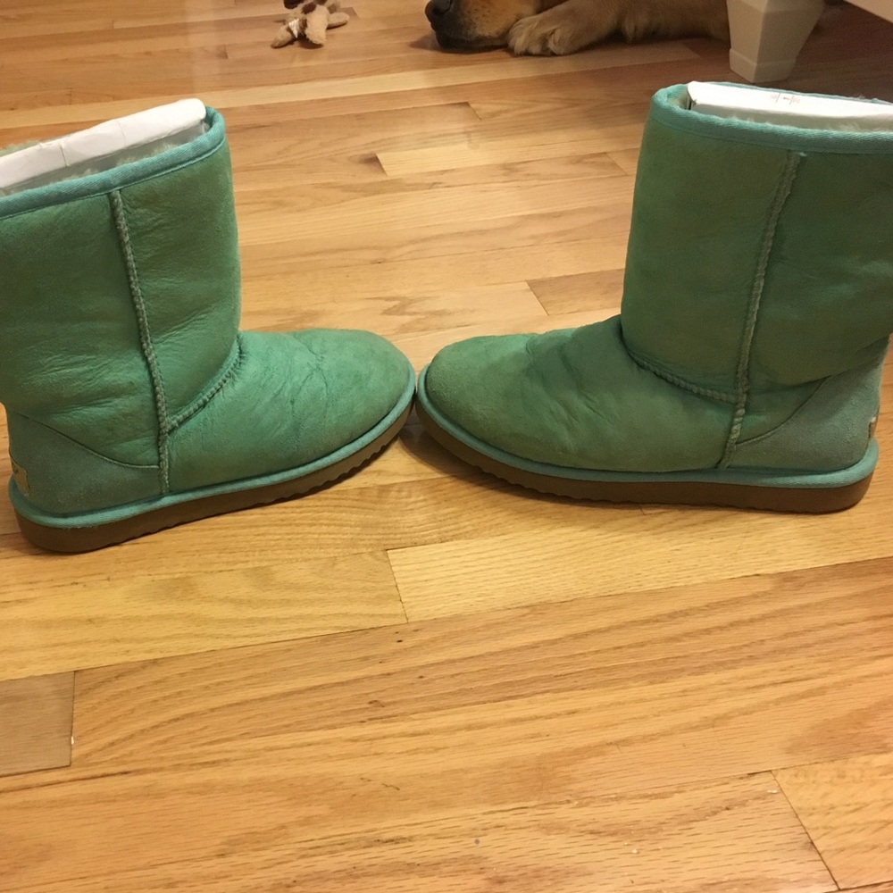 Mint green uggs