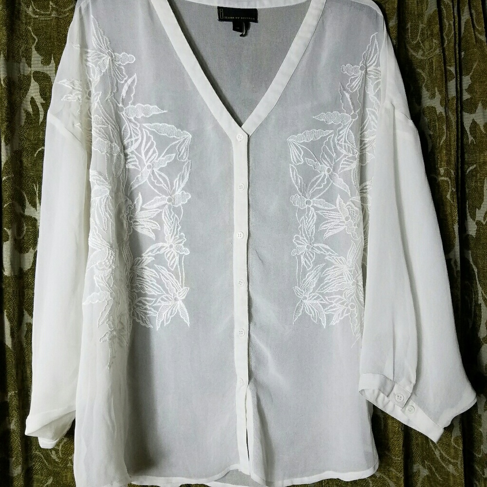 Beautiful Sheer Blouse