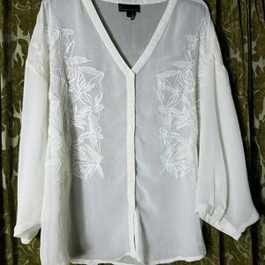 Beautiful Sheer Blouse