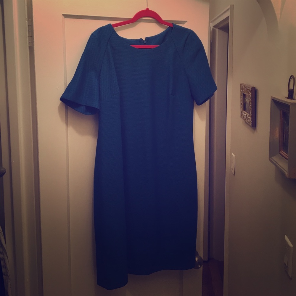 Royal Blue Shift Dress