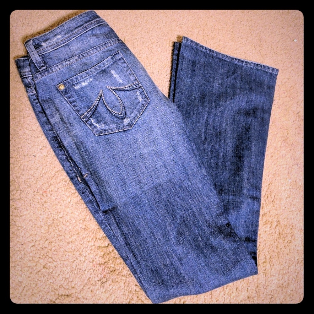 SOLD!!!!  NWOT Anthropologie Level 99 Jeans