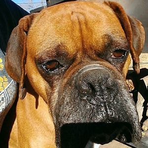 Meet your Posher, Miriam