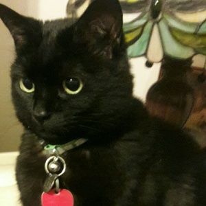 Meet your Posher, Renae