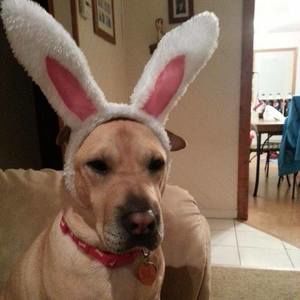 Meet your Posher, Lori