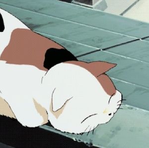 Meet your Posher, Irma