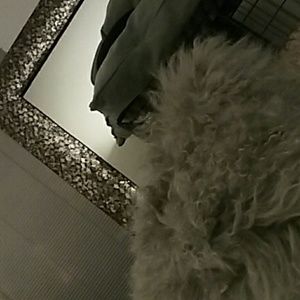 Meet your Posher, Ronald