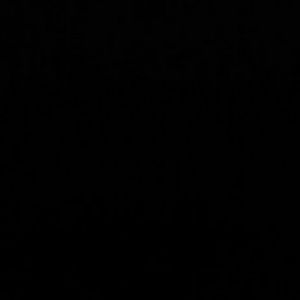 Meet your Posher, Van