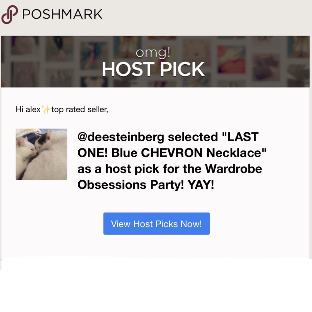 LAST ONE! Blue CHEVRON Necklace - Picture 2 of 6
