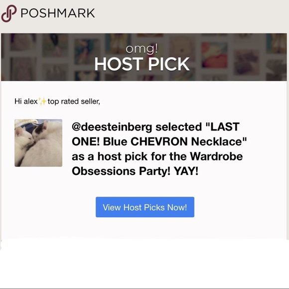 LAST ONE! Blue CHEVRON Necklace - Picture 2 of 6