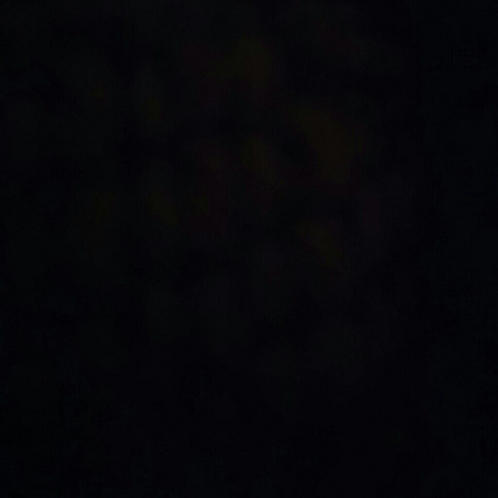 Meet your Posher, Anjelica