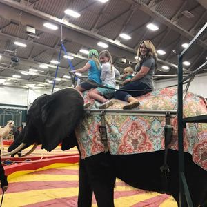 Meet your Posher, Sommer