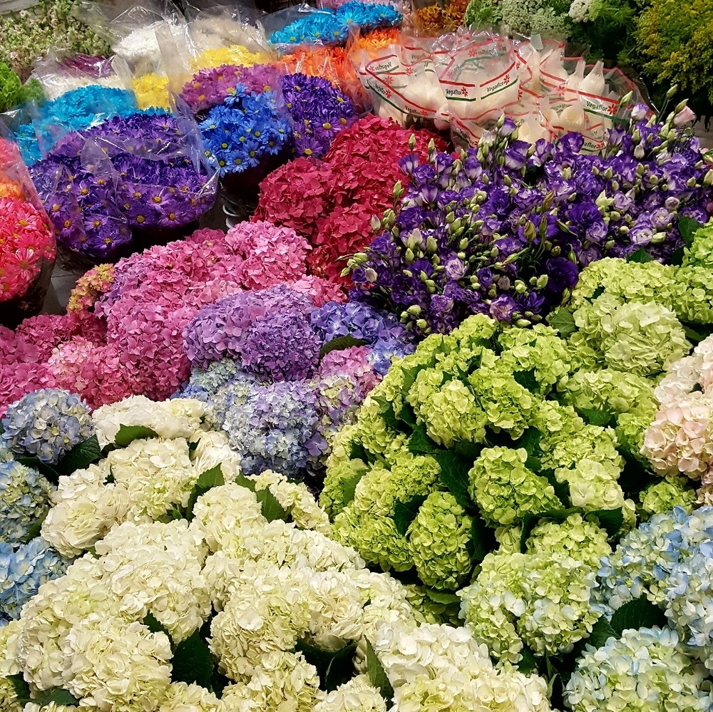 Meet your Posher, Vanessa