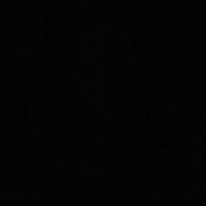 Meet your Posher, Latisha