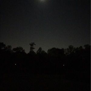 Meet your Posher, Frank