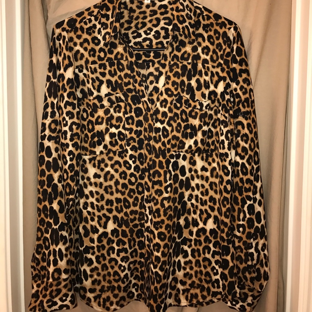 Express collared long sleeve buttoned vneck blouse