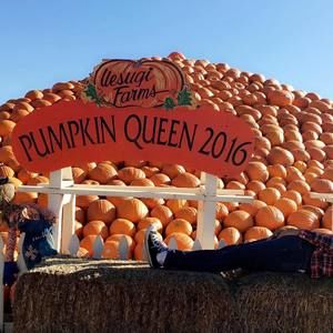 Meet your Posher, Bryant