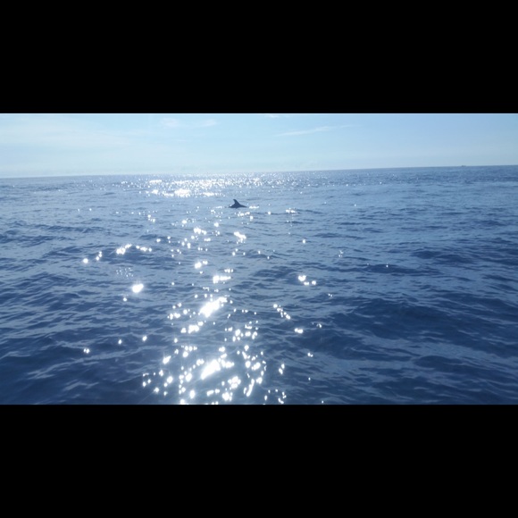 Meet your Posher, Donna! I accept most offers! Make me an offer! Many items! - Picture 9 of 15