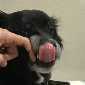 Meet your Posher, Bonnie