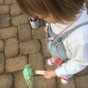 Meet your Posher, Michelle