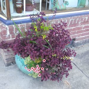 Meet your Posher, Carmen